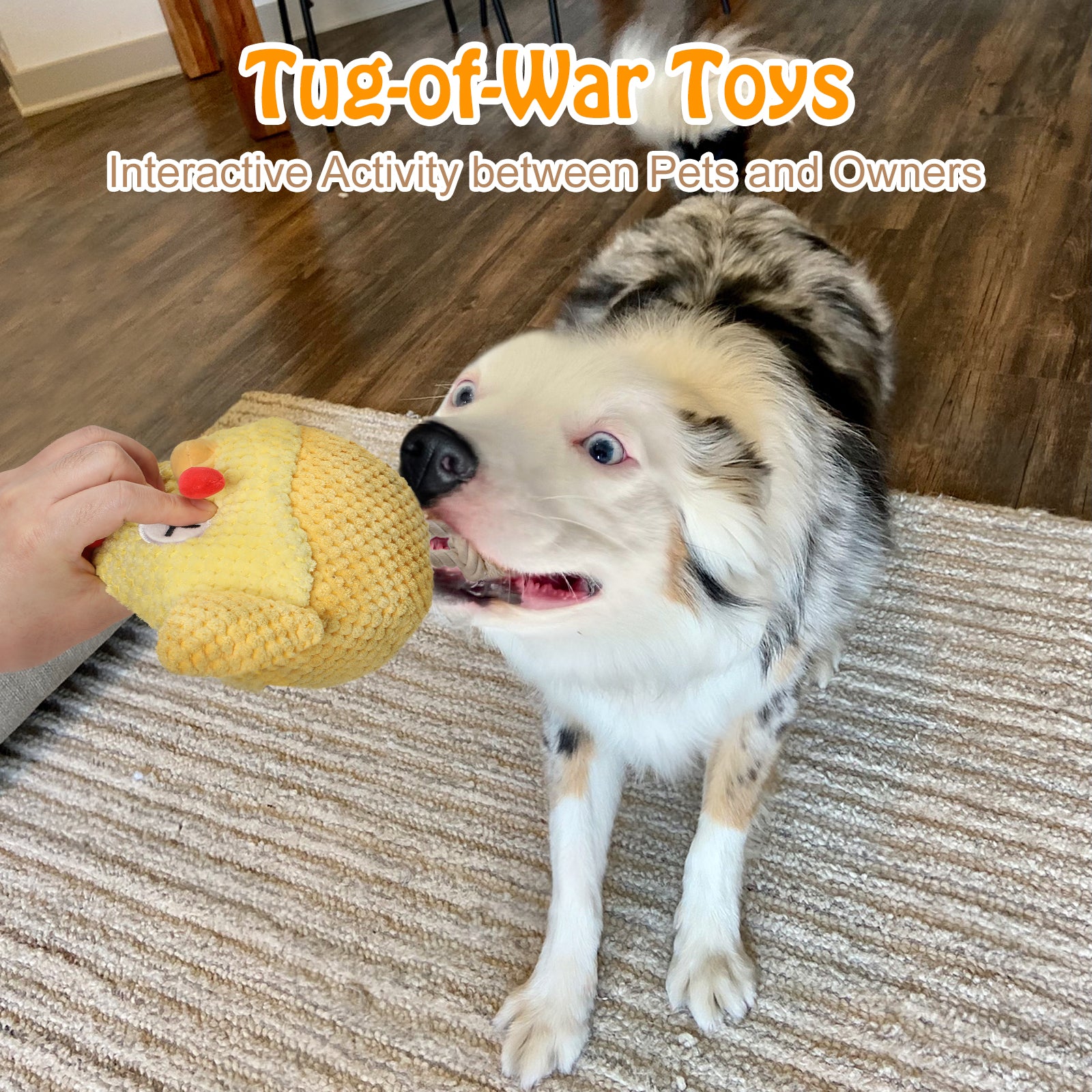 Interactive Chicken Dog Toy, Durable Automatic Moving Dog Toy Ball for Dogs of All Sizes