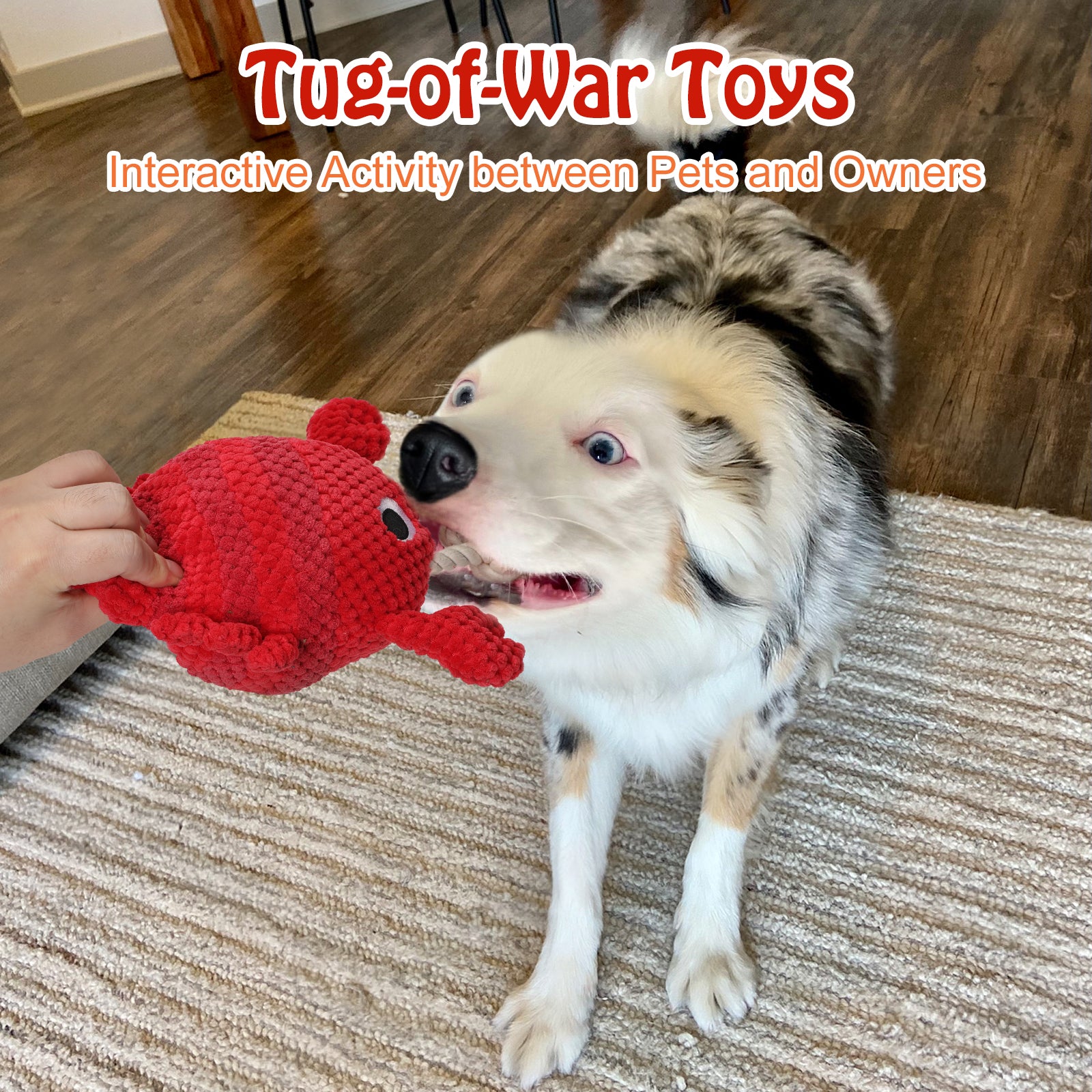 Lobster Bouncing Dog Toy Durable, Engaging Interactive Chew Toy Smart Dog Toy For Dogs of All Sizes