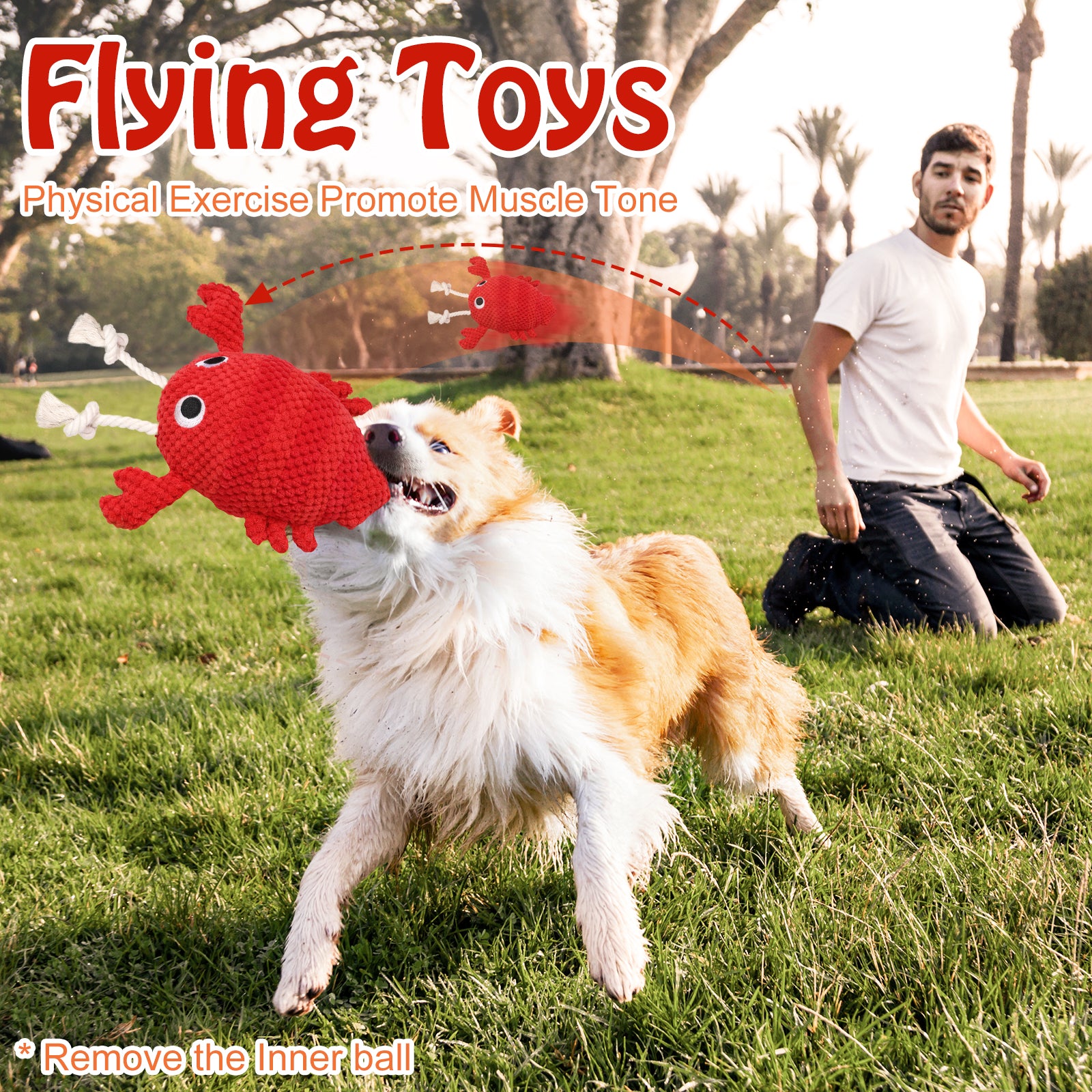 Lobster Bouncing Dog Toy Durable, Engaging Interactive Chew Toy Smart Dog Toy For Dogs of All Sizes